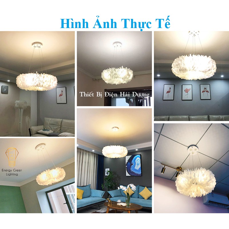 Đèn Chùm Lông Vũ Vòng Tròn 60cm Phong Cách Bắc Âu Decor Lighting - 3 Chế Độ Ánh Sáng - Đã Bao Gồm Bóng