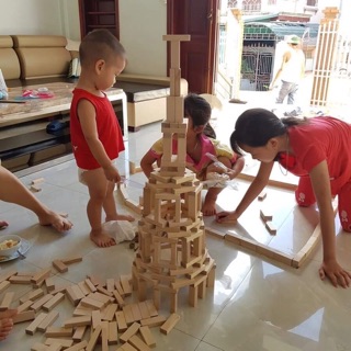 Combo 3kg gỗ domino