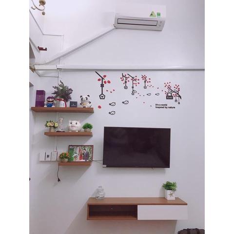 Tranh dán tường mica 3d decor khổ lớn đàn chim về tổ trang trí phòng khách, phòng ngủ Nhiều Size - EPeBen