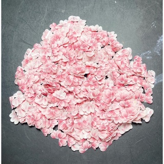 Hoa ruby tay vẽ - hoa bột nail