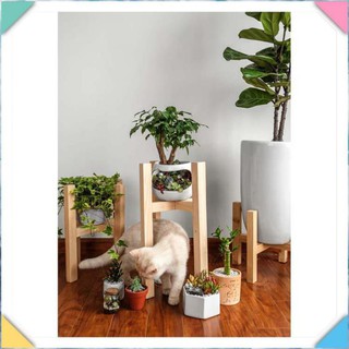 Kệ Gỗ Để Chậu Cây Đẹp+Đôn Gỗ Để Cây Cảnh Trang Trí Nhà Cửa+Chân Giá Đỡ Kê Chậu Hoa[Sale Toàn Quốc]+[Sỉ Toàn Quốc]+Dễ Lắp