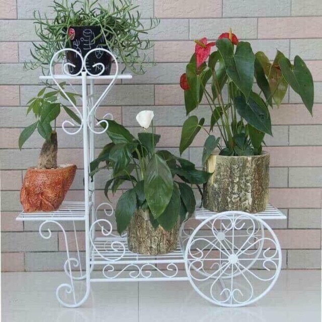Kệ sắt để chậu hoa kiểu dáng mới ạ