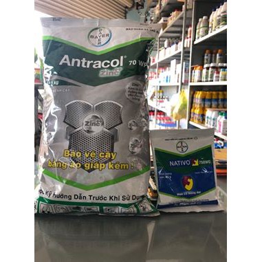 Combo trừ nấm Bayer: Antracol và Nativo