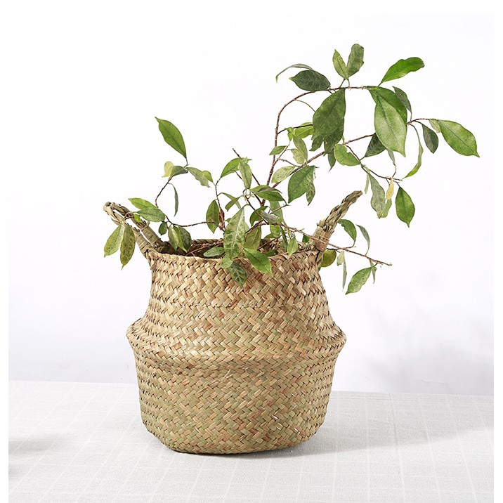 Giỏ cói trồng cây 22cm, 25cm - BC56, BC68