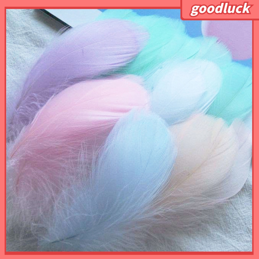 Bộ 100 Lông Vũ Nhiều Màu Sắc Dùng Trang Trí Thủ Công DIY