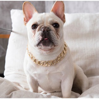 VÒNG ĐEO CỔ RICH KID CHO CHÓ MÈO