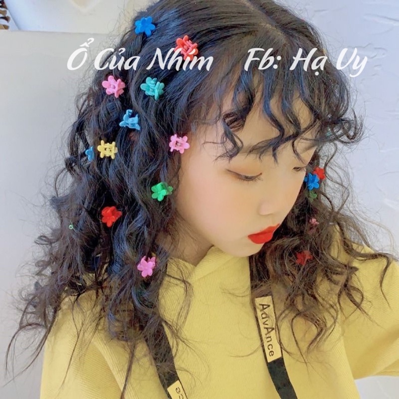 Hộp 50 kẹp càng cua mini cho bé yêu 🎀
