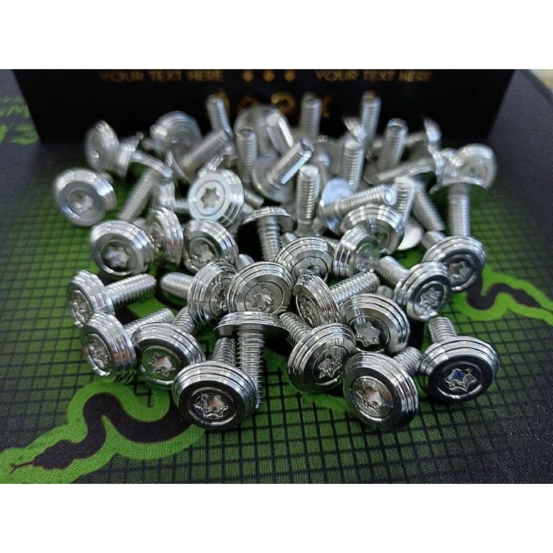 Ốc áo ex 2010 thái 40 con