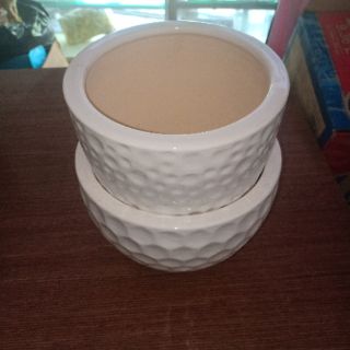 Chậu Sứ Trắng Trồng Cây - Mã C1, C2