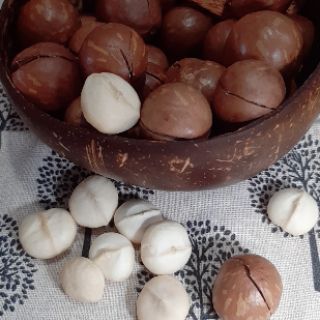 MẮC CA LÂM ĐỒNG 1kg size đại