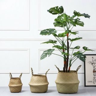 Chậu cói trồng cây, giỏ cói tự nhiên