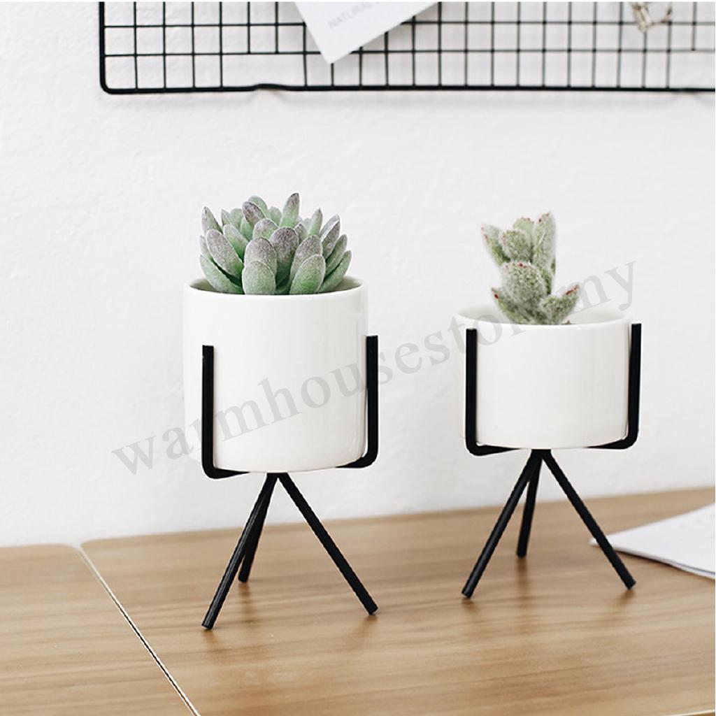 Chậu để cây và giá đỡ kiểu dáng xinh xắn