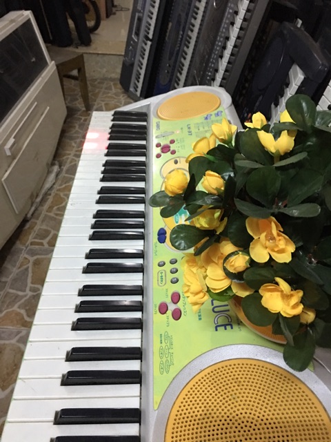 ĐÀN ORGAN CASIO LK 37