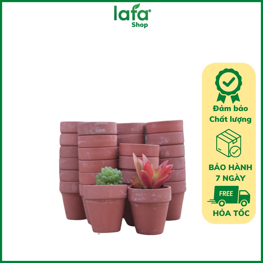 Chậu đất nung LAFA 1 cái, đặc biệt chuyên trồng cây sen đá
