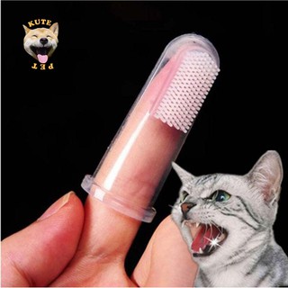 Bàn chải đánh răng cho chó mèo