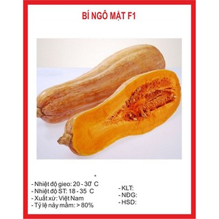 combo Bí ngô, Mướp, cần tây hạt giống chất lượng