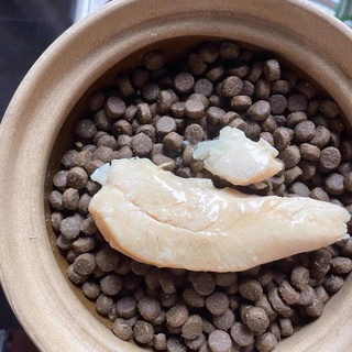 [ Sale ‼️] Ức Gà hấp ăn liền cho thú cưng🐣 40g