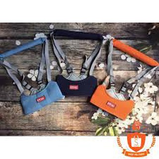 Đai tập đi ôm ngực cho bé hãng ( ROYAL )