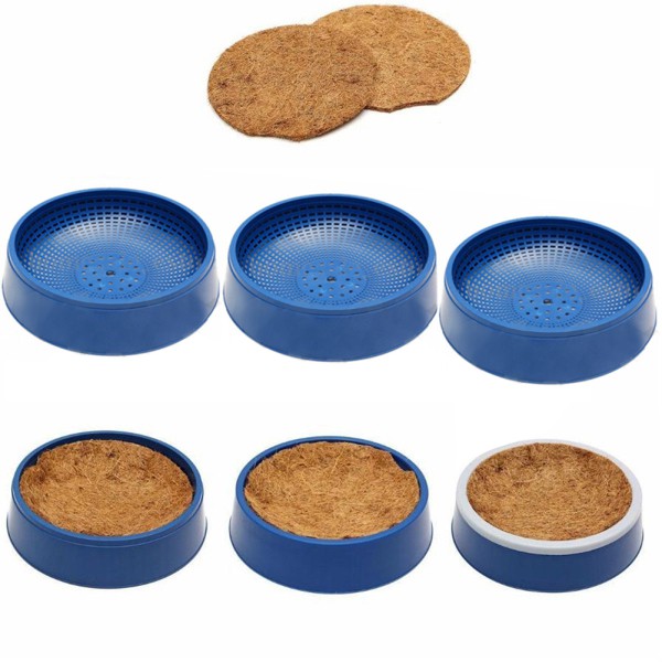 Thảm Cỏ Cho Chim