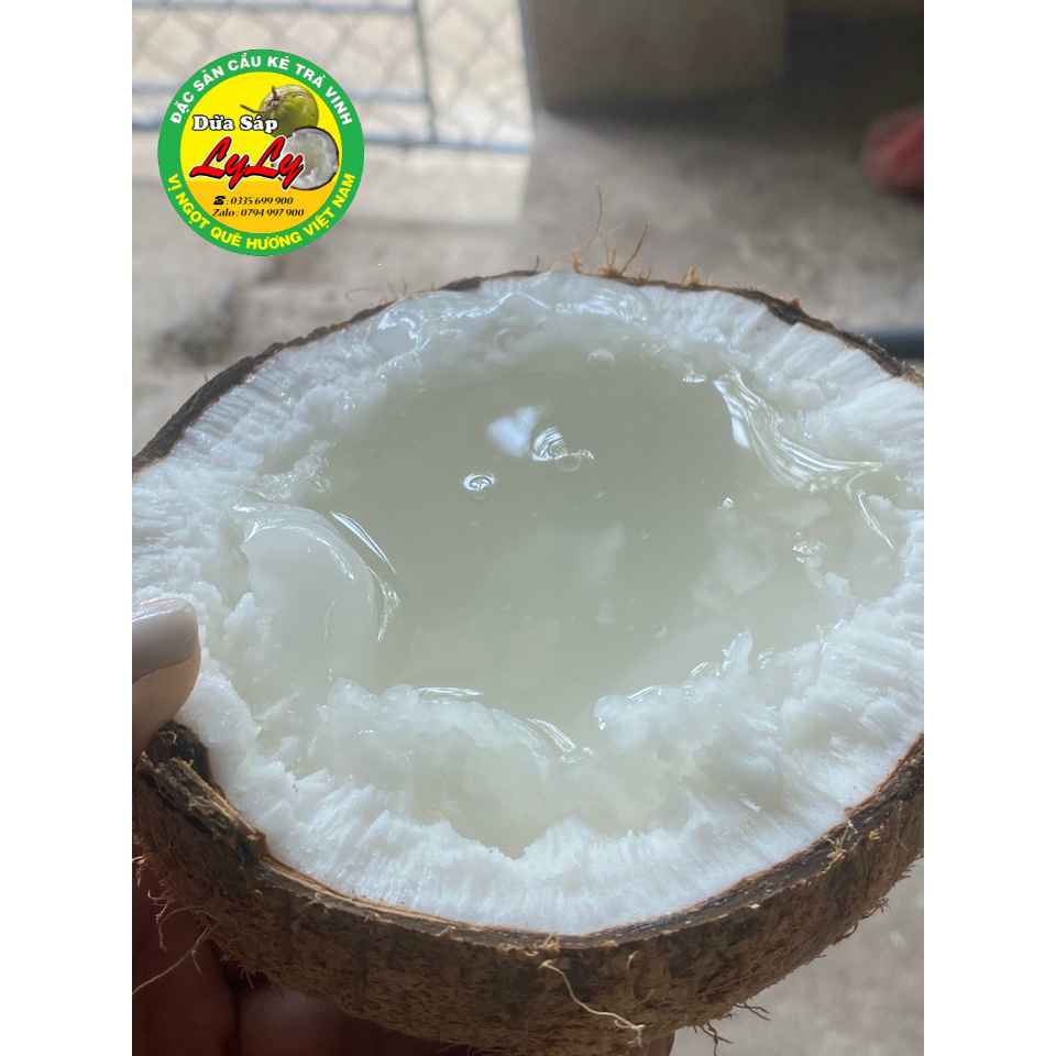 DỪA SÁP ĐẶC RUỘT SỈ LẺ CẦU KÈ TRÀ VINH