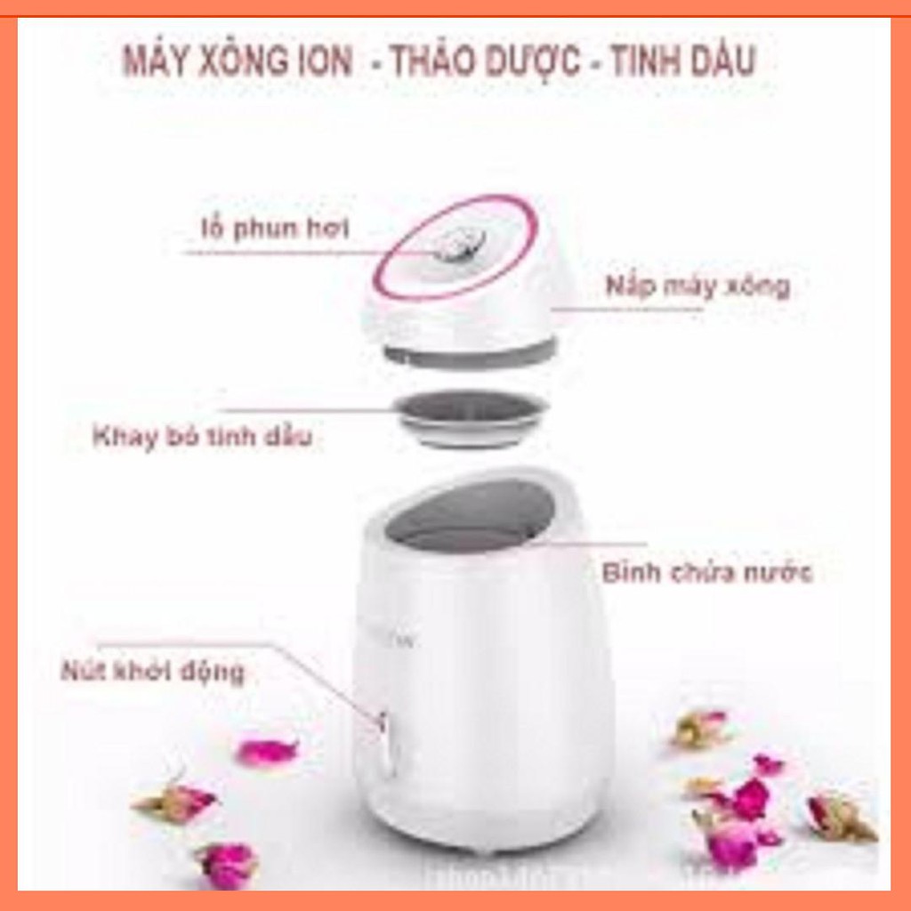 [Sỉ] MÁY XÔNG MẶT THẢO DƯỢC TỰ NHIÊN ION MOOER