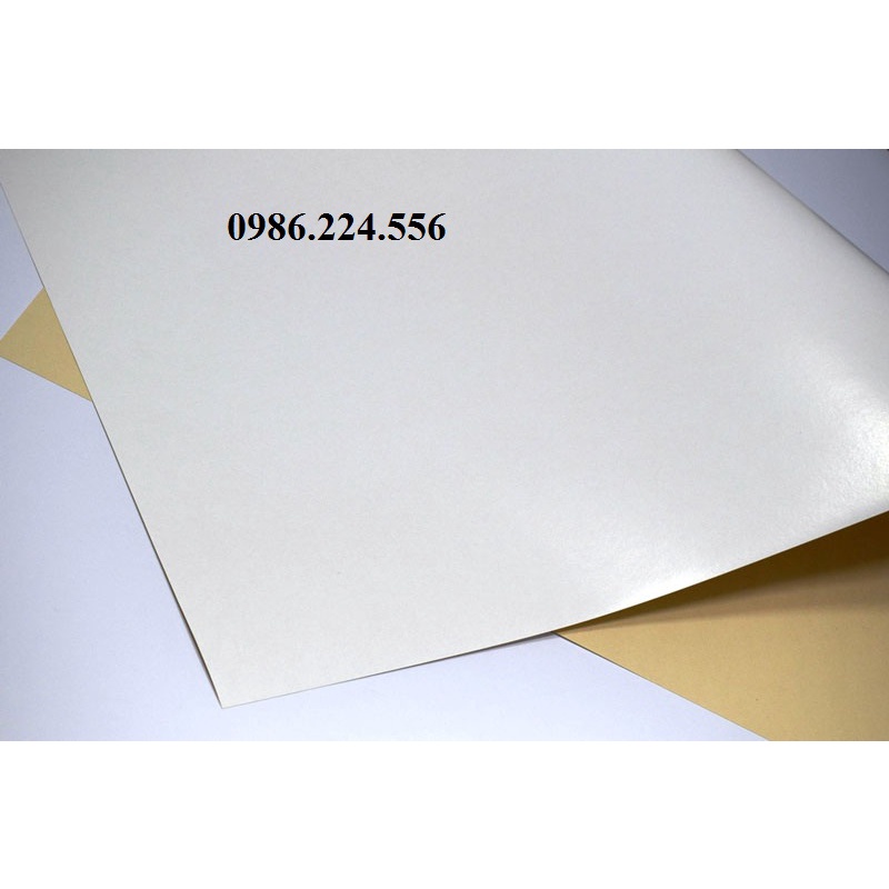 Giấy bìa cứng màu trắng Dulex 250 gsm một mặt giấy cắt rập thiết kế bìa lưng áo khổ to 90x120cm set 2 tờ