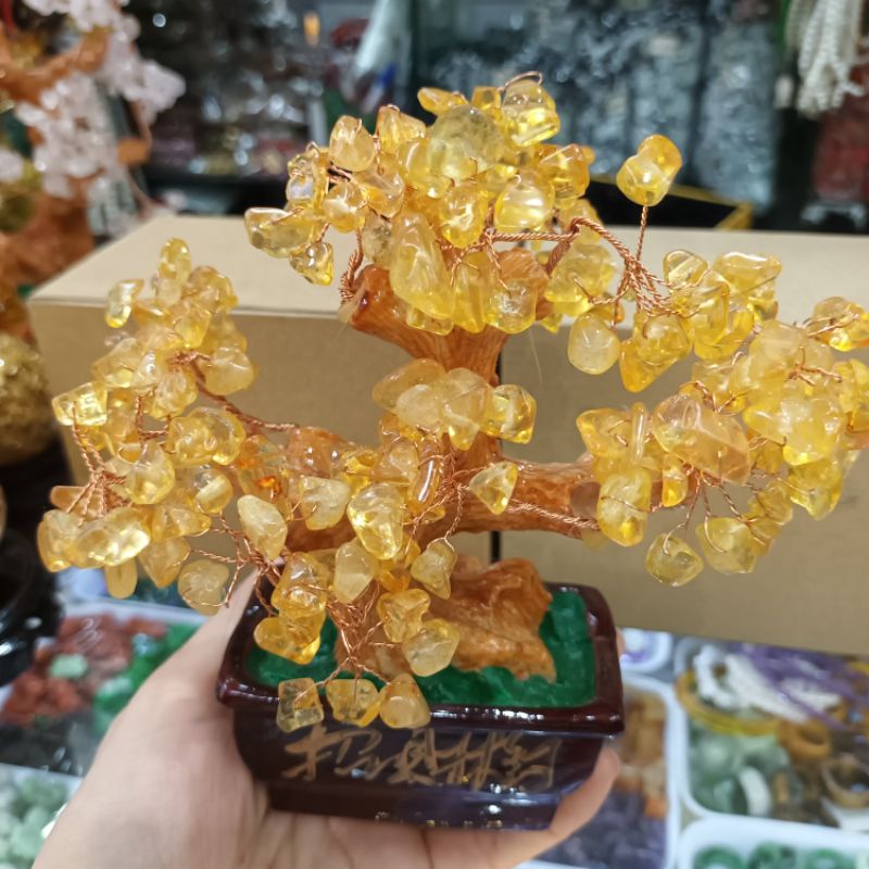 Cây đá màu vàng hút tài lộc, cây tài lộc để bàn thờ Thần tài, quầy thu ngân, két sắt, bàn làm việc, sưu tầm
