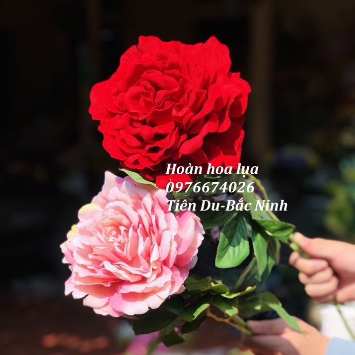 Mẫu Đơn Nhung Sz Đại 18Cm, Cao 80Cm, Phù Hợp Cắm Bình Gốm Trang Trí Nhà Cửa Cực Đẹp