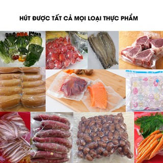 MÁY HÚT CHÂN KHÔNG TỰ ĐỘNG P290B