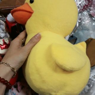 Gấu bông vịt