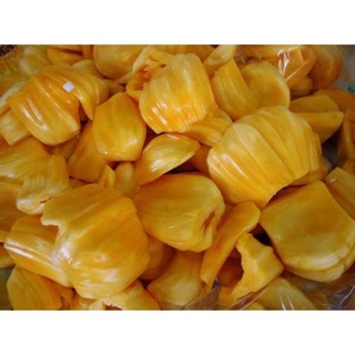 Cây Mít ruột đỏ INDO ( giống chuẩn )