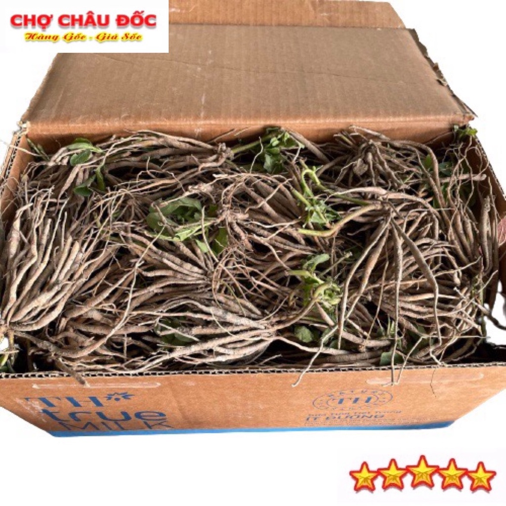 500g Củ Sâm Đất Tươi Hay Cây Trái Nổ Dùng Nấu Nướng Uống