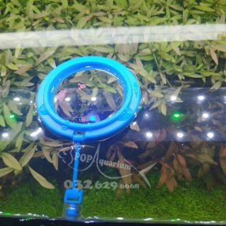 Thức ăn cho cá thủy sinh, cá neon, cá bảy màu