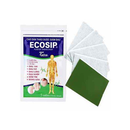 Cao dán thảo dược Ecoship 1hộp/20 gói