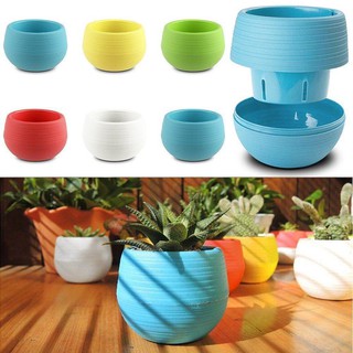 Chậu hoa mini nhựa tròn