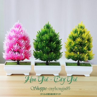 Cây giả - cây thông để bàn