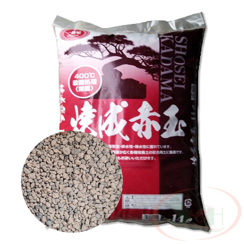 Nền Shosei Akadama Soil đất nung bao 14 lít giá thể trồng cây bonsai sen đá bể thủy sinh cá tép