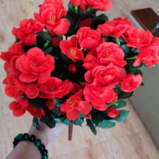 Hoa Đỗ quyên . 30k