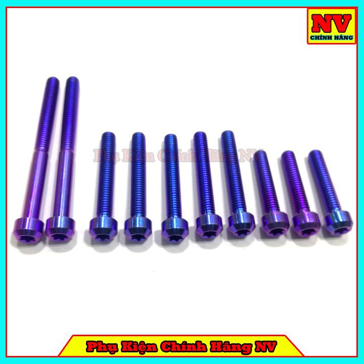 Bộ Ốc Lốc Máy Vario Gr5 Full Bộ 10 Con