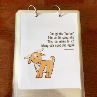 Học liệu cho bé: câu đố phát triển tư duy