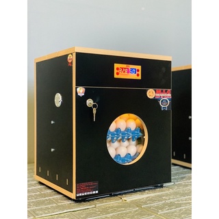 Máy ấp trứng mic 60 thế hệ mới 2022 tự động
