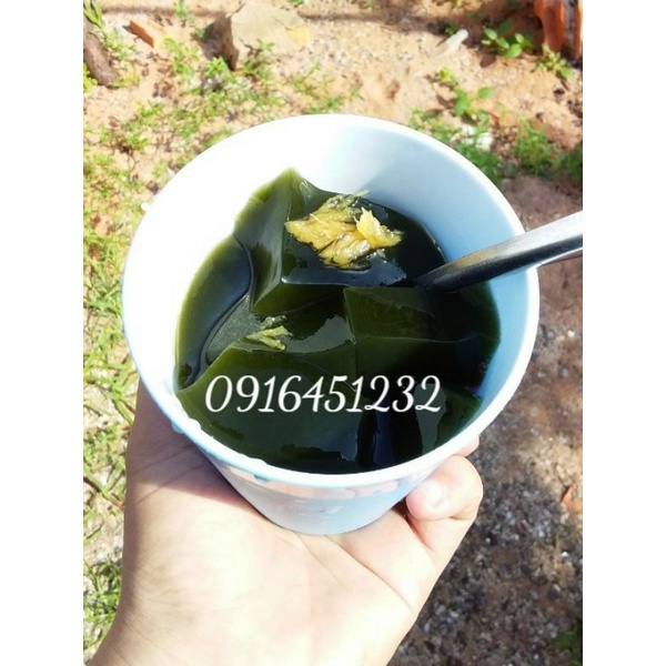 Lá sương sâm lông khô 100g + bột nang mực