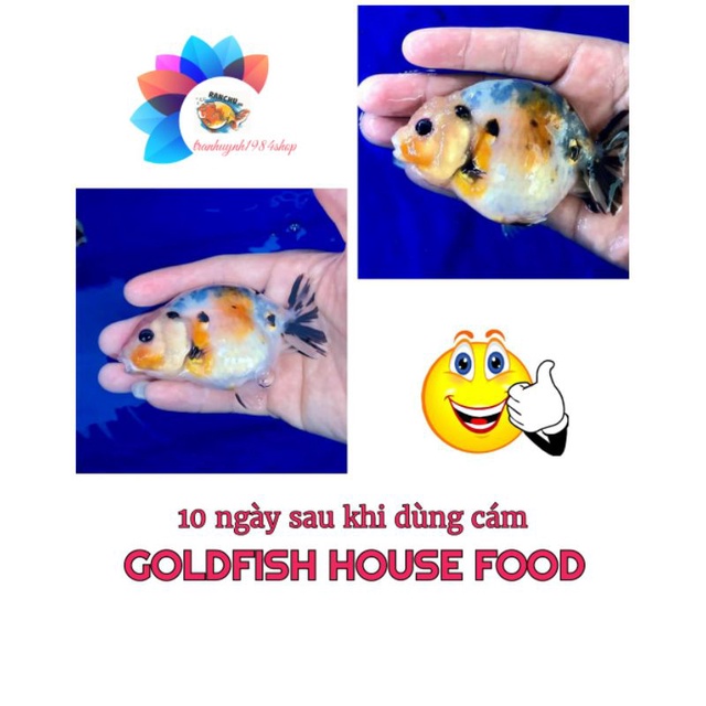 1Kg Cám GOLDFISH HOUSE FOOD cho cá Vàng, Koi