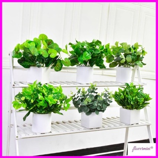 Chậu cây cảnh giả để bàn trang trí nhiều mẫu, cây vạn niên thanh decor nhà hàng xanh mát Flowermini CC-05