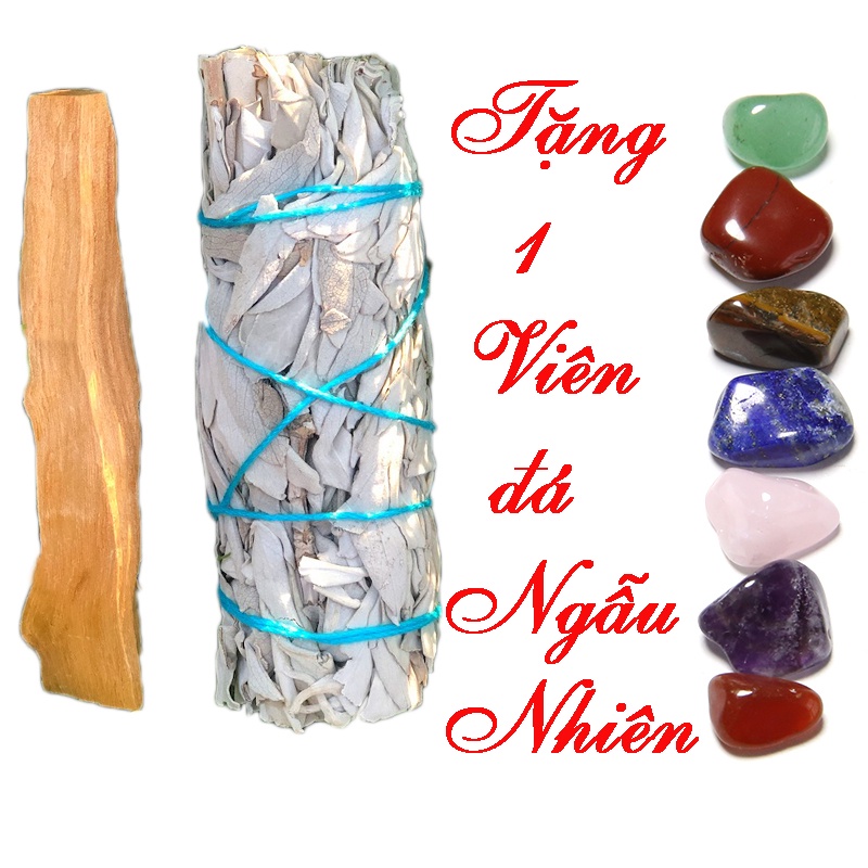 Sét Palo Santo 6gr + bó Xô thơm 10cm tặng 1 viên đá thanh tẩy tự nhiên ngẫu nhiên (lưu ý loại xô thơm)