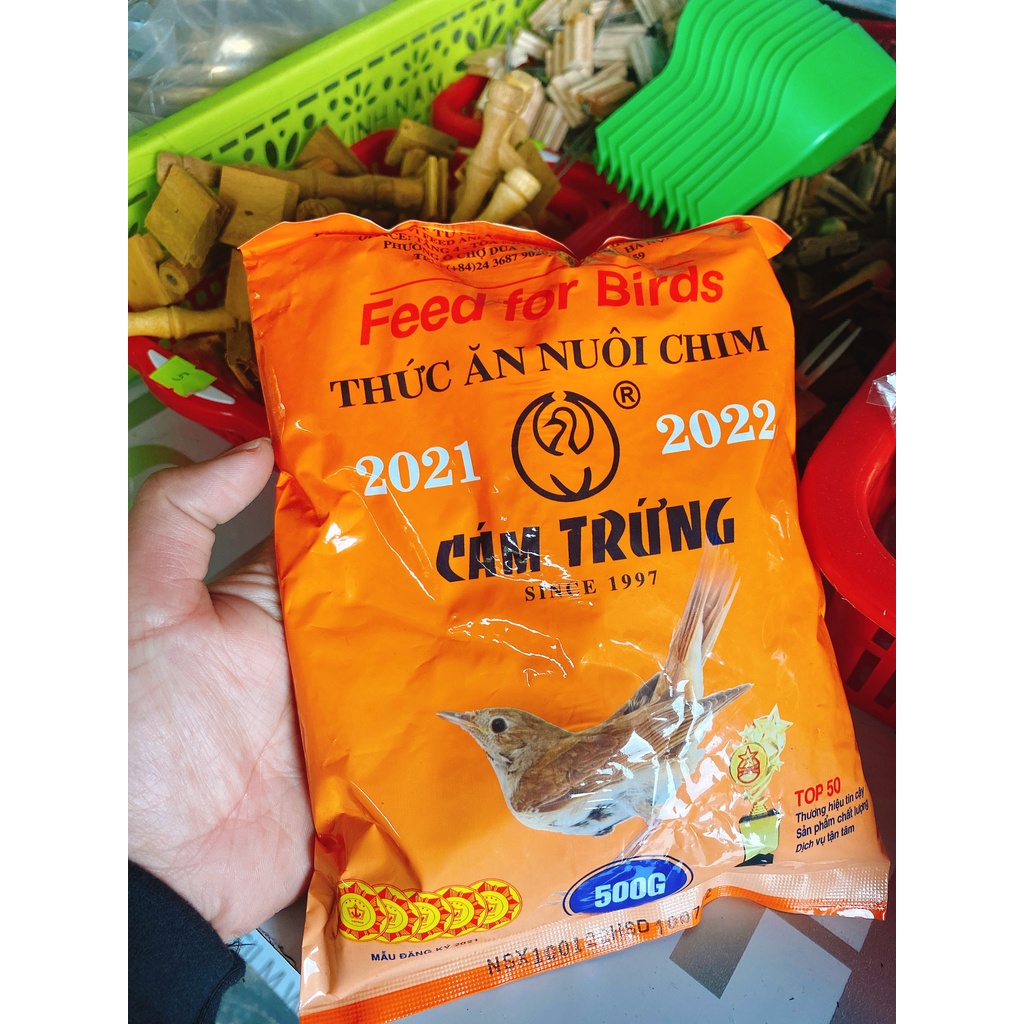 CÁM CHÀO MÀO BAVI ( CHUẨN BAVI HỒI XƯA)