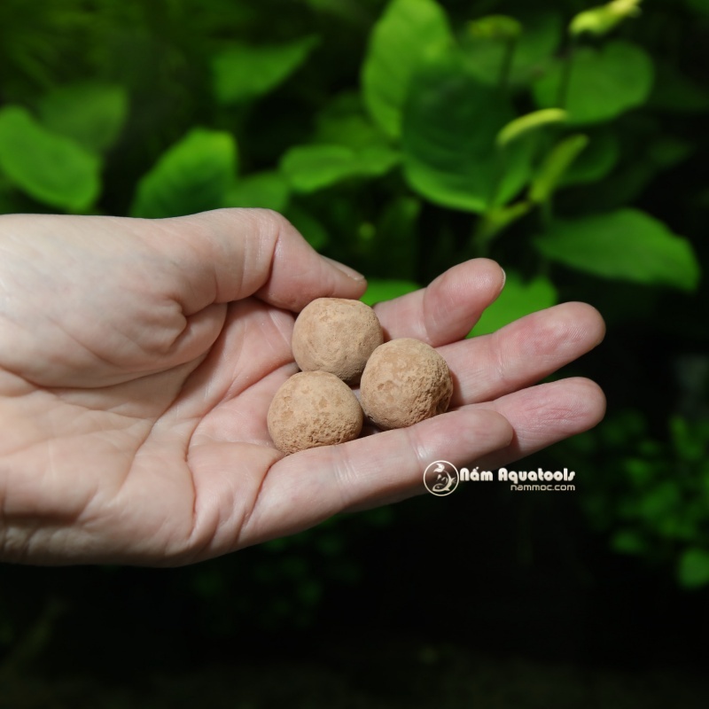 JBL PROFLORA 7+13 Balls | Phân Nhét Gốc JBL - Dùng Cho Bể Cá Thuỷ Sinh (Hộp 20 viên)