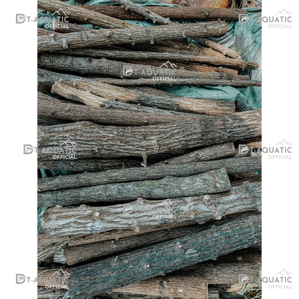 Lũa Thạch Sùng - (1kg) Dùng Để Setup Bể Thủy Sinh, Layout Phong Cách Rừng Cực Đẹp và Tự Nhiên