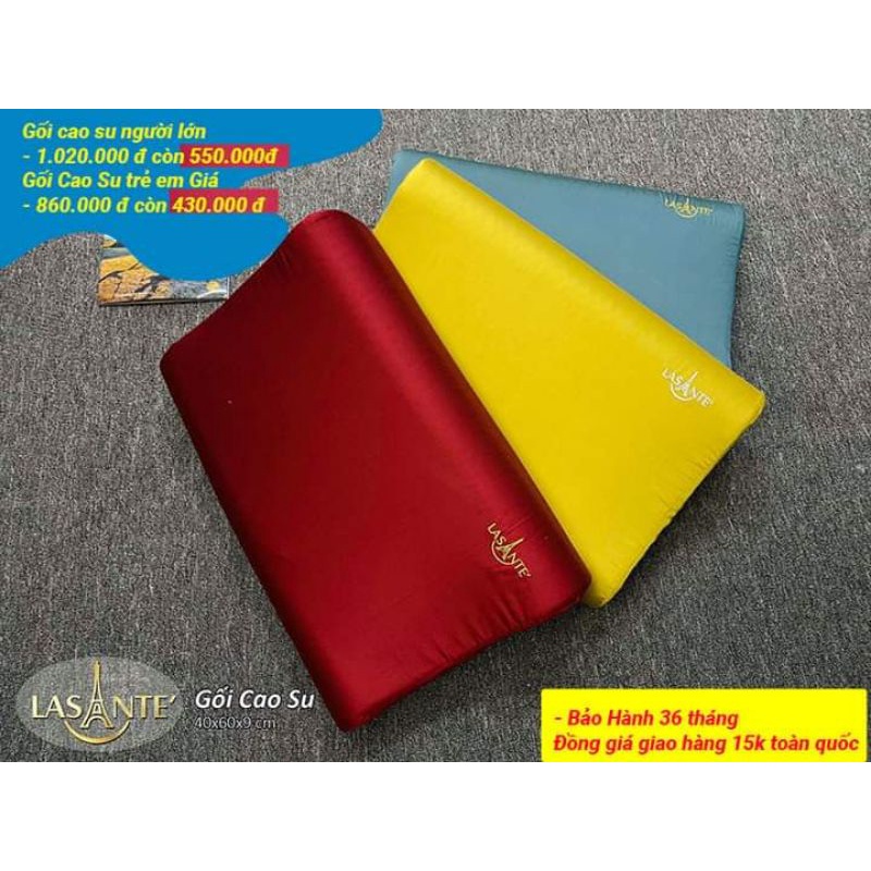 Vỏ gối tencel cao su Lasante cho người lớn kích thước 40x60