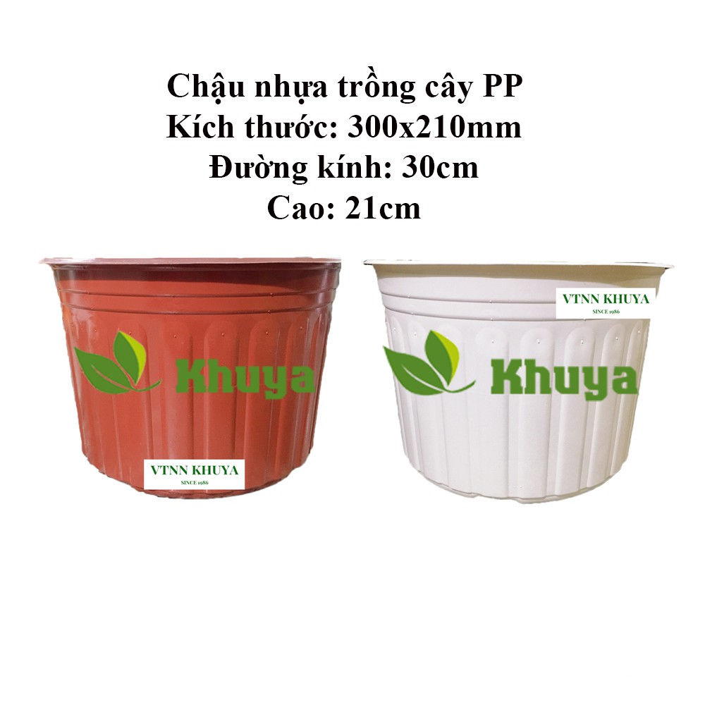 Chậu nhựa trồng cây PP 300x210mm